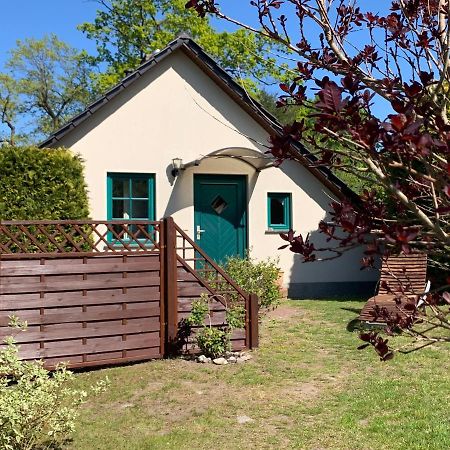 „Rentmeisterhaus Basedow“ Basedow  Buitenkant foto