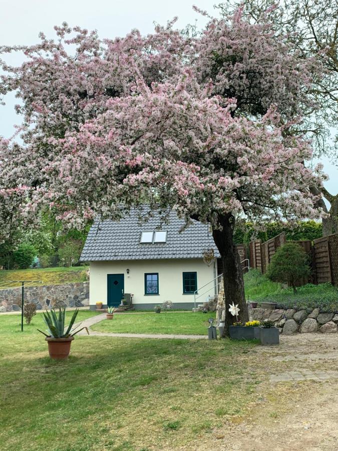 „Rentmeisterhaus Basedow“ Basedow  Buitenkant foto